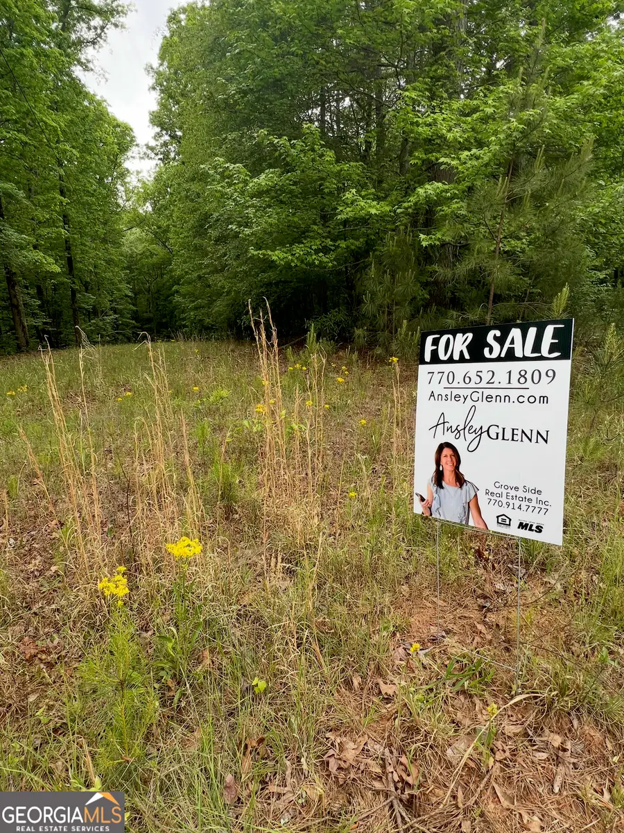 1585 N Ola Road, McDonough, GA 30252 - #3