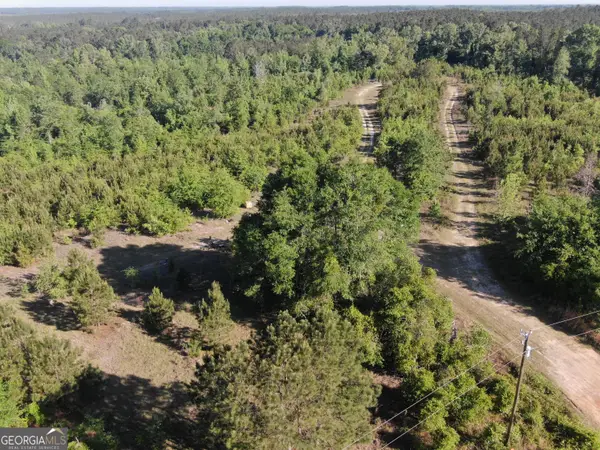 1451 Dr Mann Road, Jacksonville, GA 31544