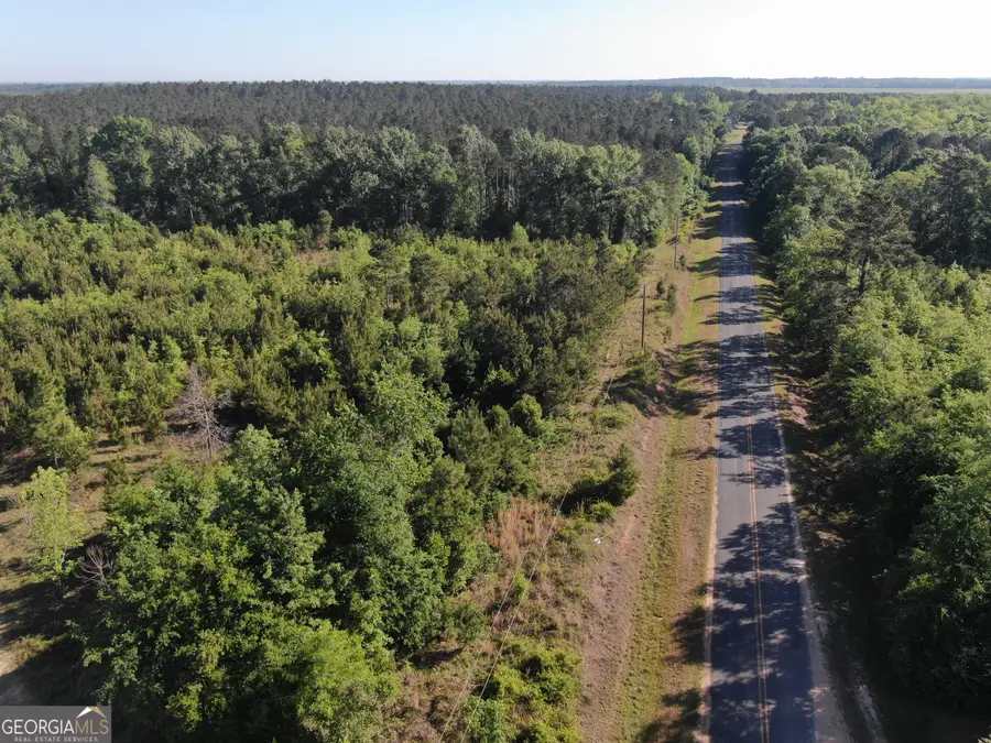 1451 Dr Mann Road, Jacksonville, GA 31544 - #3