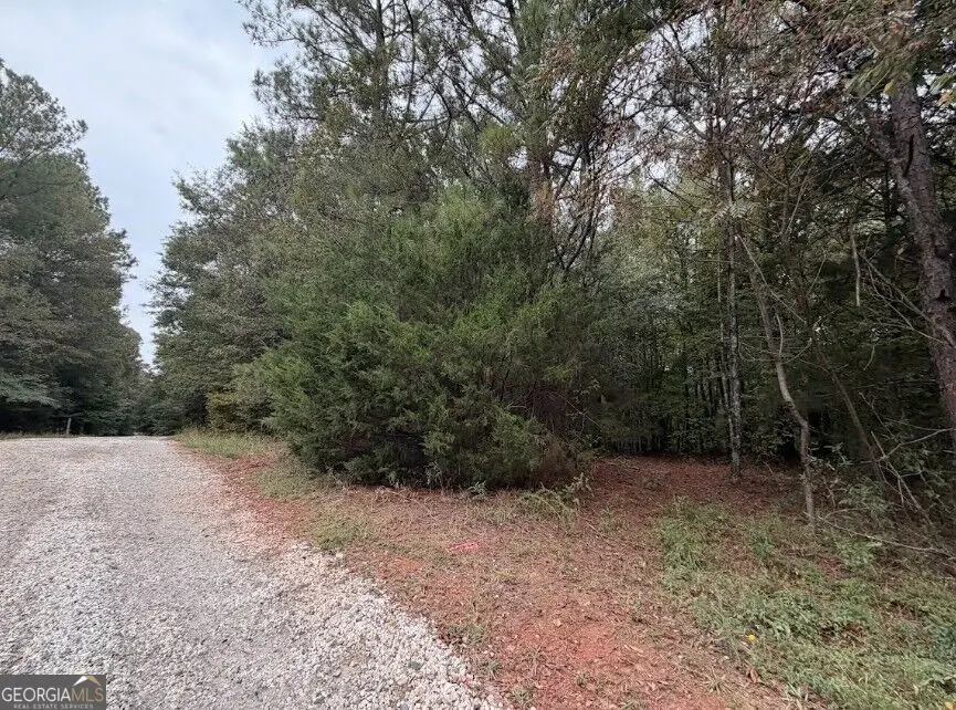 0 Lebanon Church Road #TRACT 1, Jefferson, GA 30549 - #2