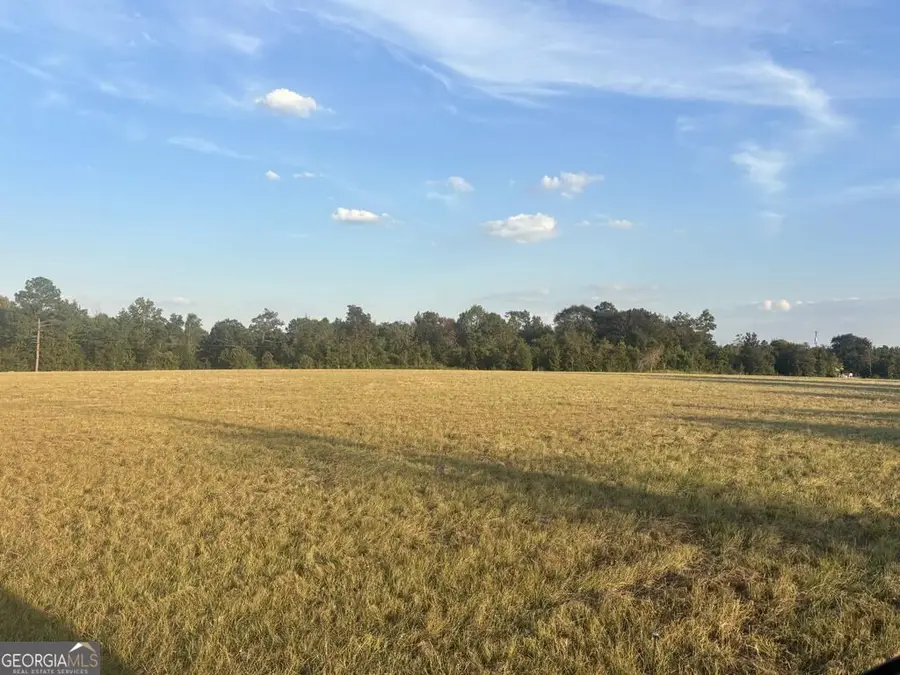 63 Hayes Road, Mauk, GA 31058 - #2