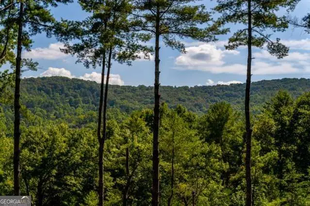 58 Papa Bear Path, Blue Ridge, GA 30513 - #2
