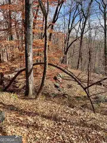0 Yellow Trillium Estates #LOT 40, Clayton, GA 30525 - #3