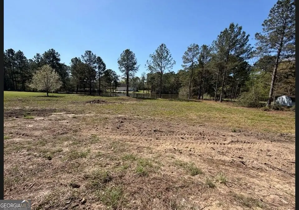 38 Duck Drive, Tifton, GA 31793 - #1