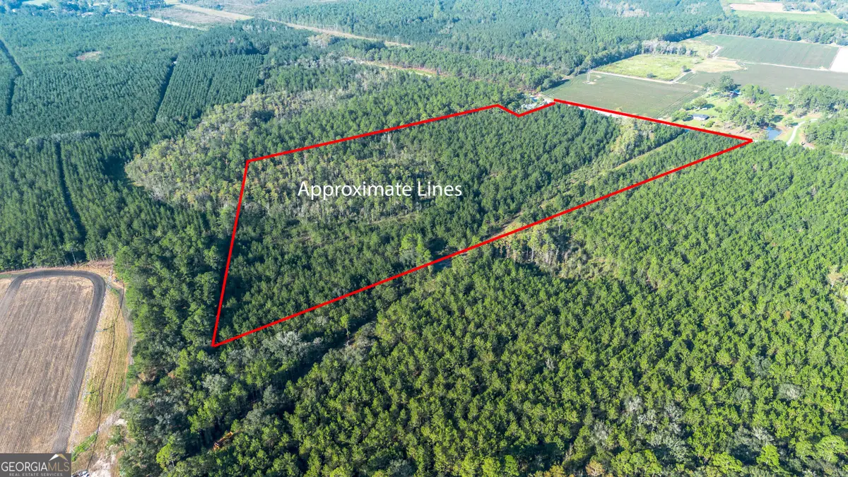 0 Us Highway 301, Claxton, GA 30417 - #1