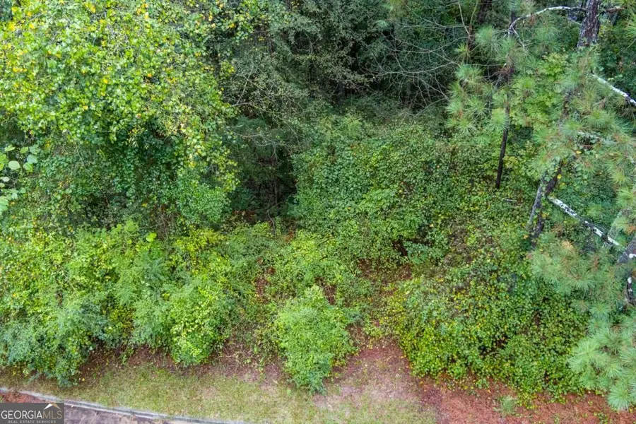2251 Sumner Court Ne #LOT 4, Conyers, GA 30012 - #3