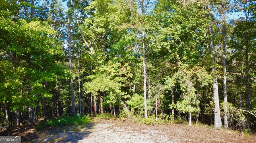 0 Rebekah Ridge Road, Talking Rock, GA 30175 - #3