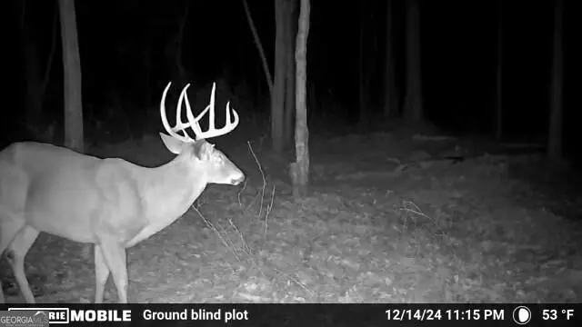 0 Sam Bradley, Americus, GA 31709 - #1
