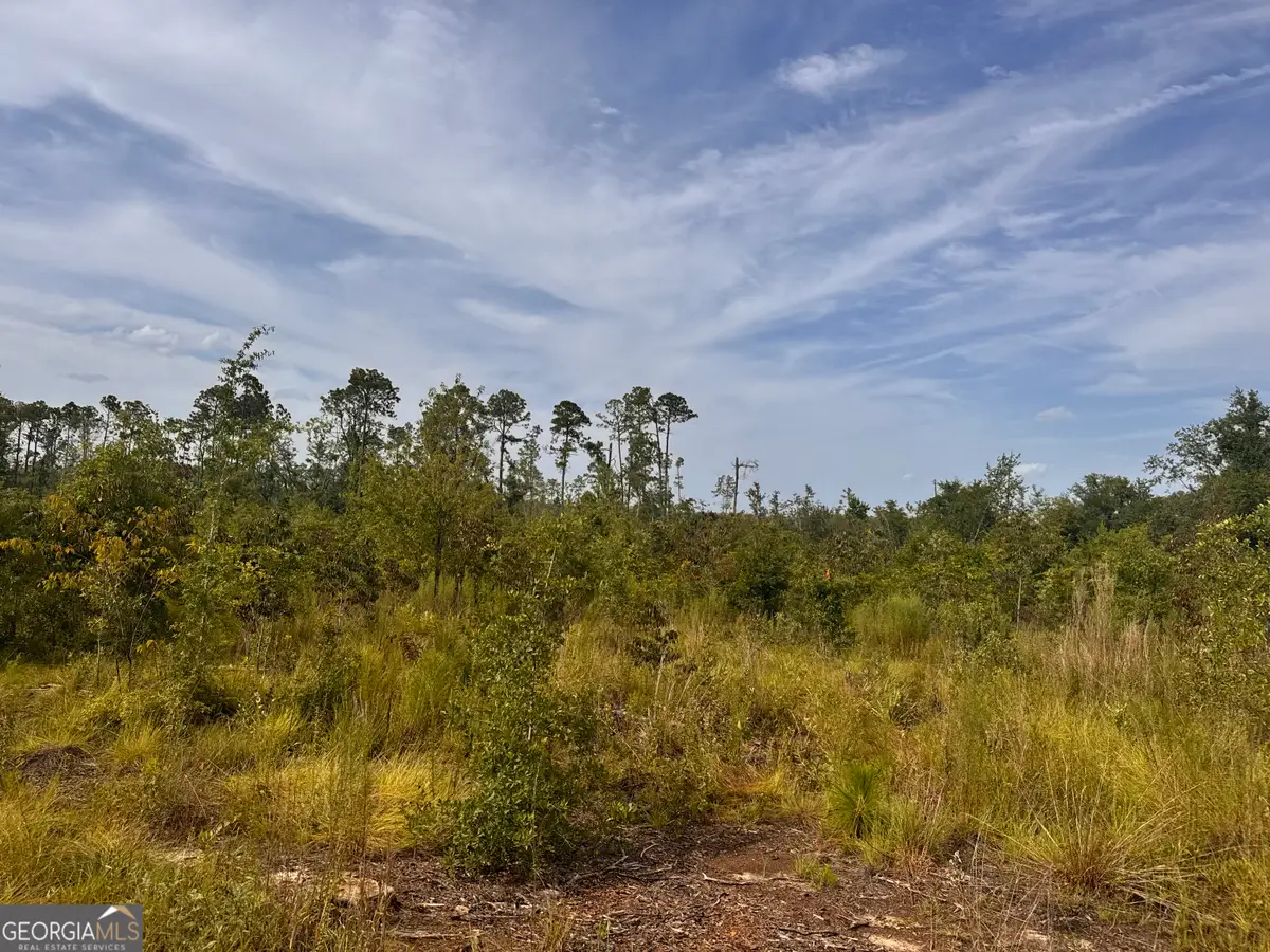 489 New Normantown Road, Vidalia, GA 30474 - #1