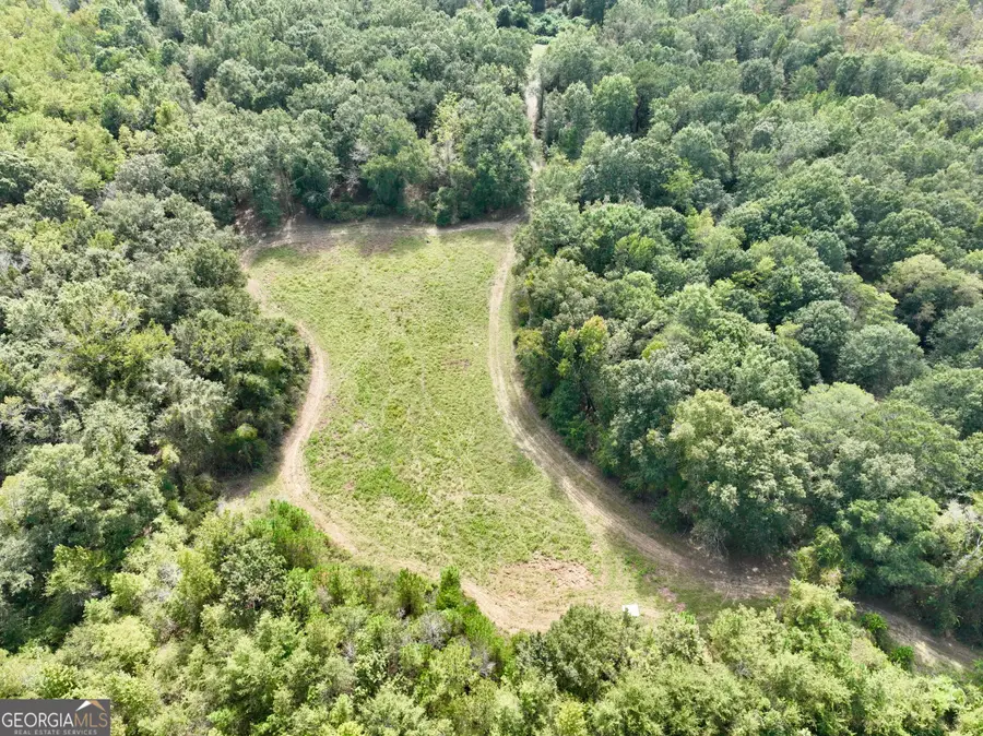 0 Abbeville Highway, Pineview, GA 31071 - #2