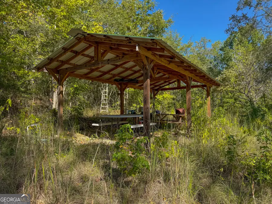 1216 Buddy Boy Thornton Road, Richland, GA 31825 - #2