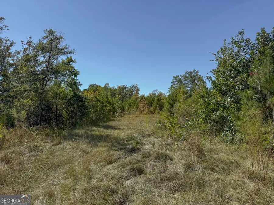 1216 Buddy Boy Thornton Road, Richland, GA 31825 - #3