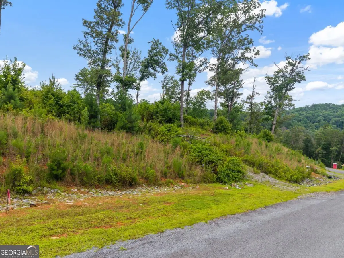 LOT 84 Jakes Landing Way, Ellijay, GA 30540 - #1