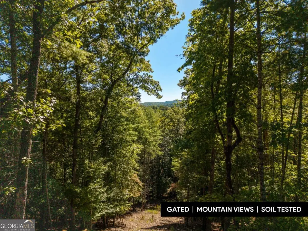 LOT 62 Ridge Drive #62, Blue Ridge, GA 30513 - #1