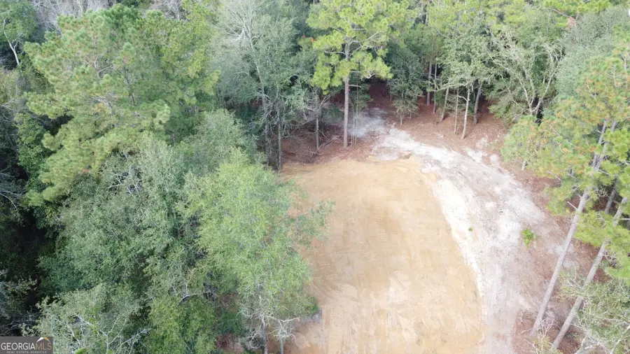 0 Canoochee Drive, Claxton, GA 30417 - #2