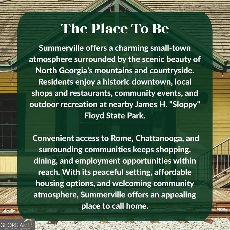 196 N Elizabeth Street, Summerville, GA 30747 - #3
