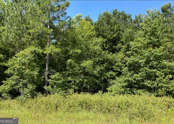 0 High Crest Lane, Hawkinsville, GA 31036