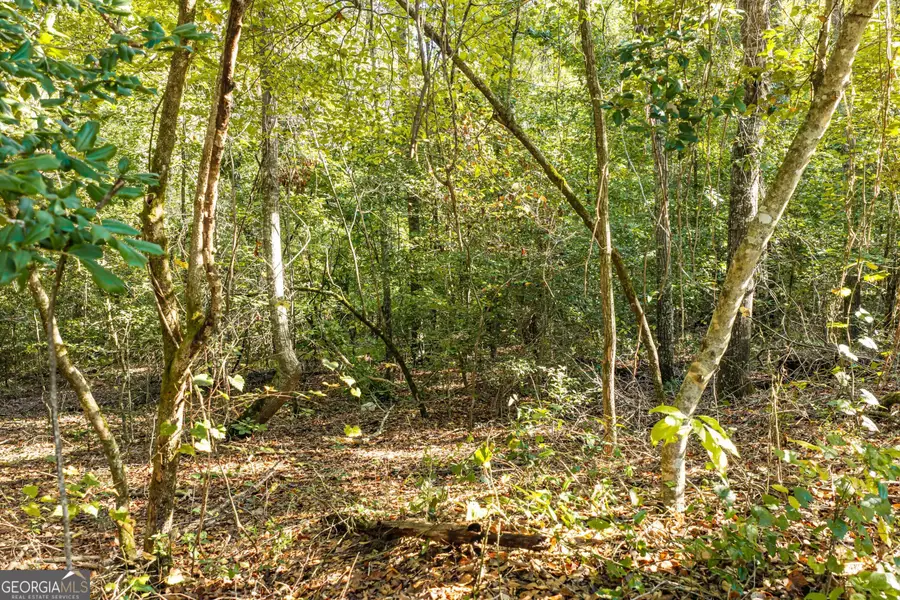 0 Corley Road, Hephzibah, GA 30815 - #3
