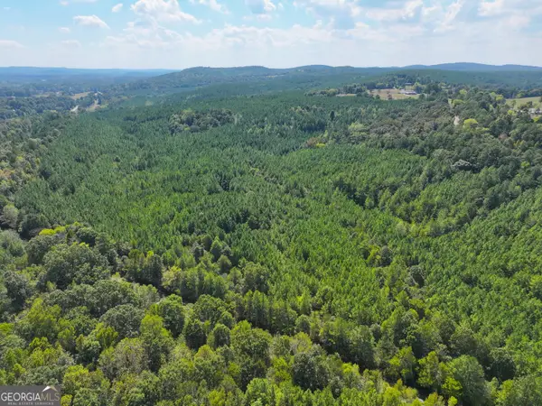 488 +/- Acres On Hall Station Road, Adairsville, GA 30103
