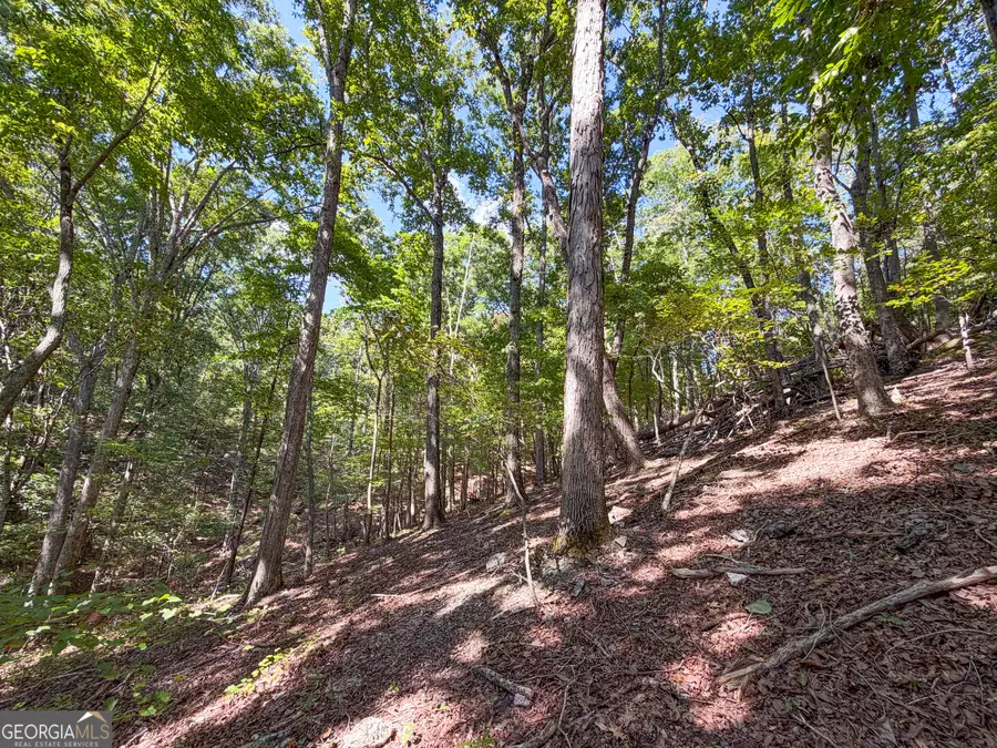 488 +/- Acres On Hall Station Road, Adairsville, GA 30103 - #3