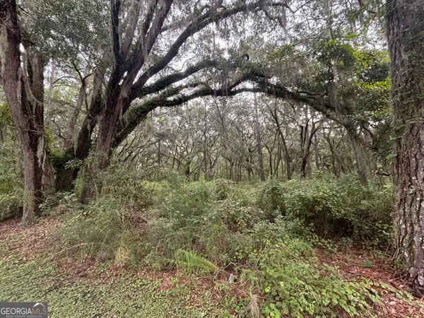 LOT 4 Carnochan Ln., Darien, GA 31305