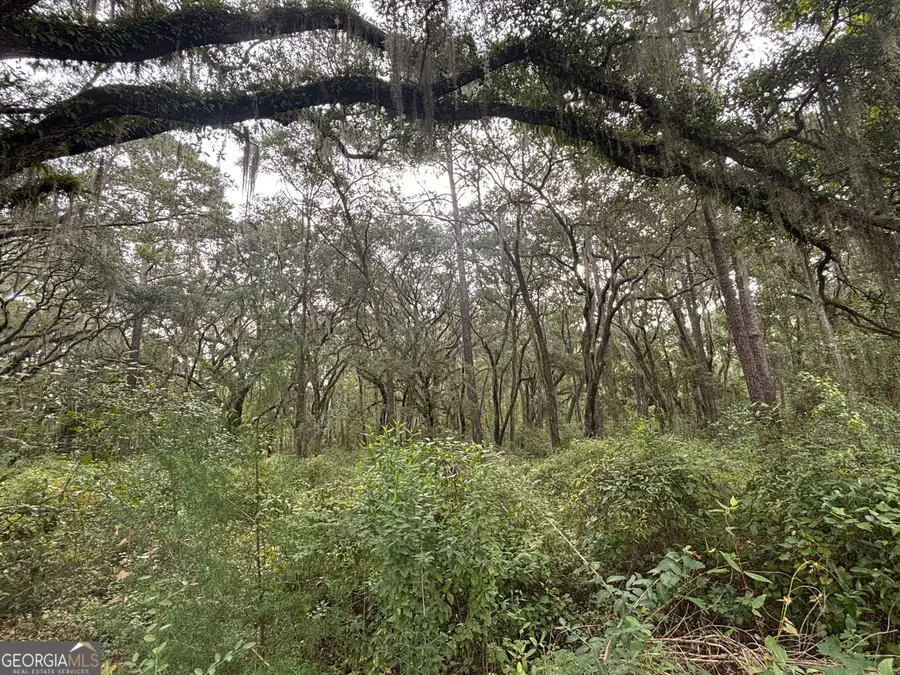 LOT 4 Carnochan Ln., Darien, GA 31305 - #3