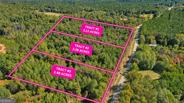 TRACT 2 Lees Bridge Road, Delta, AL 36258
