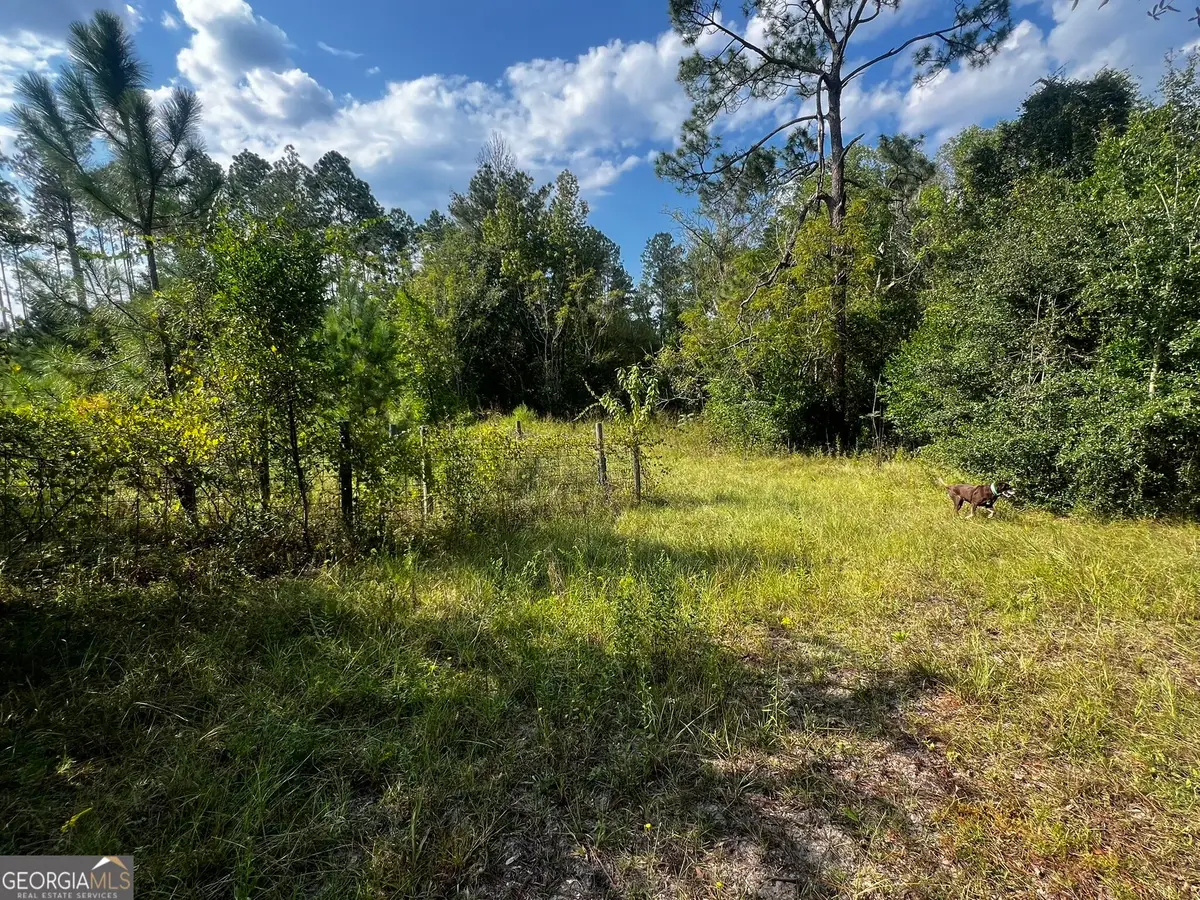 3288 New Hope Rd, Odum, GA 31555 - #1