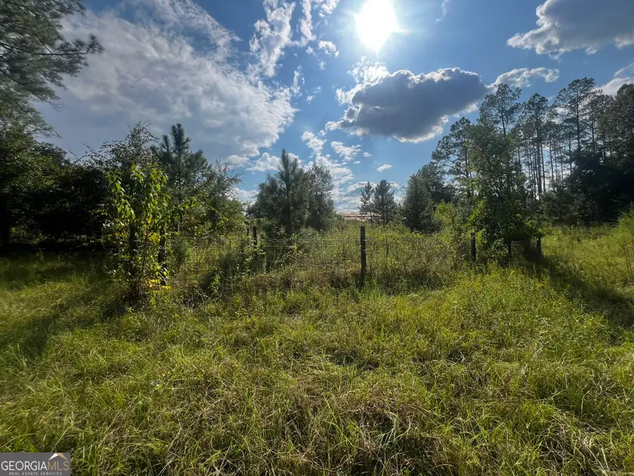3288 New Hope Rd, Odum, GA 31555 - #2