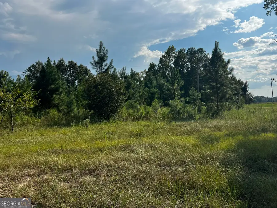 3288 New Hope Rd, Odum, GA 31555 - #3