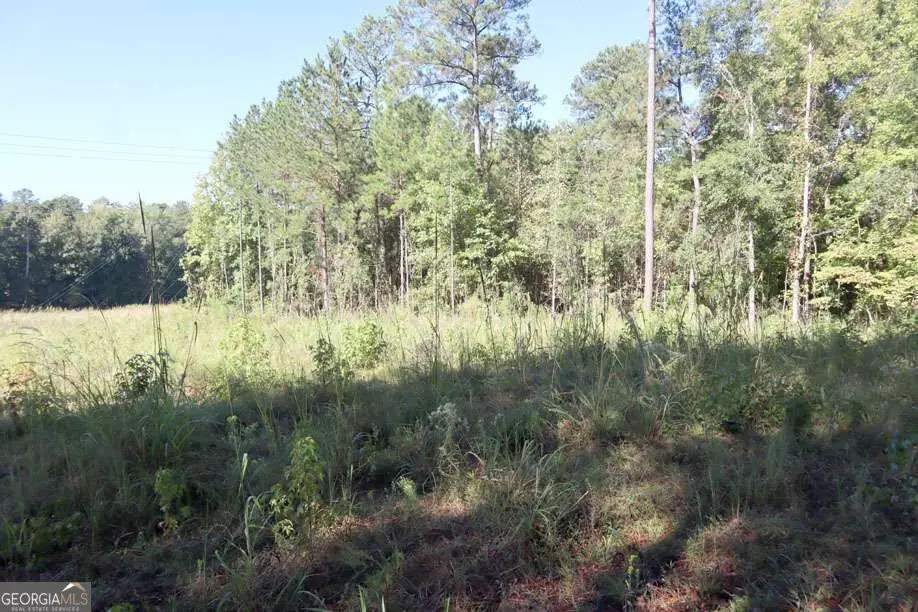 287 Lake Sinclair Drive Sw, Sparta, GA 31087 - #1