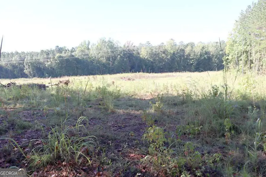 287 Lake Sinclair Drive Sw, Sparta, GA 31087 - #2