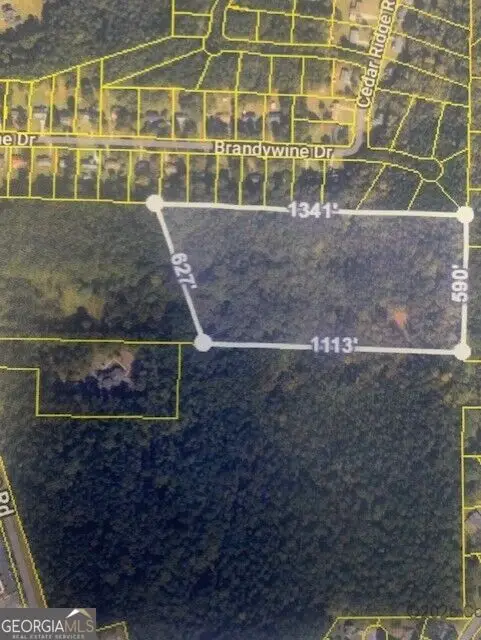 294 Oakridge Drive, Forsyth, GA 31029