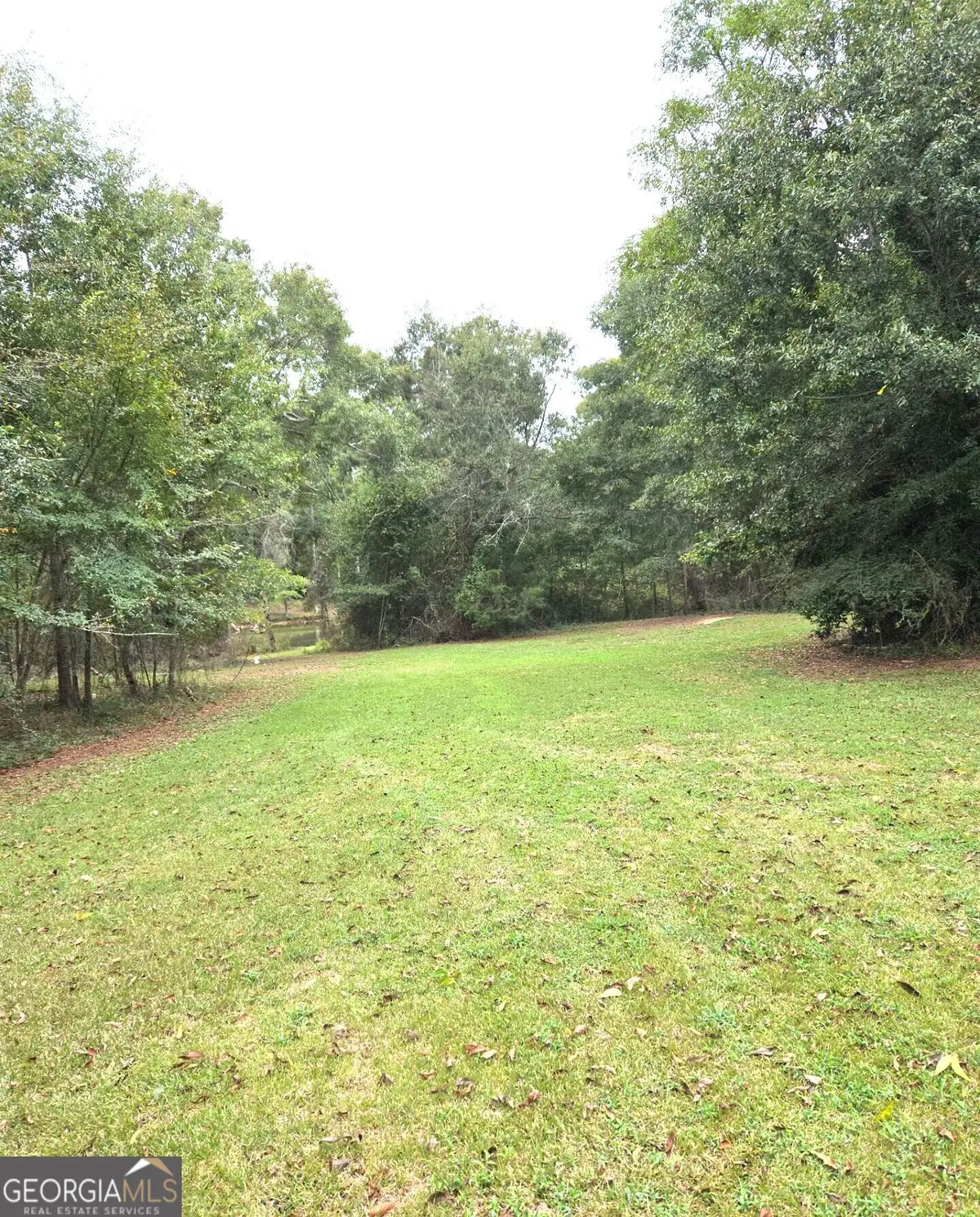 319 Powell Drive, Jackson, GA 30233 - #1