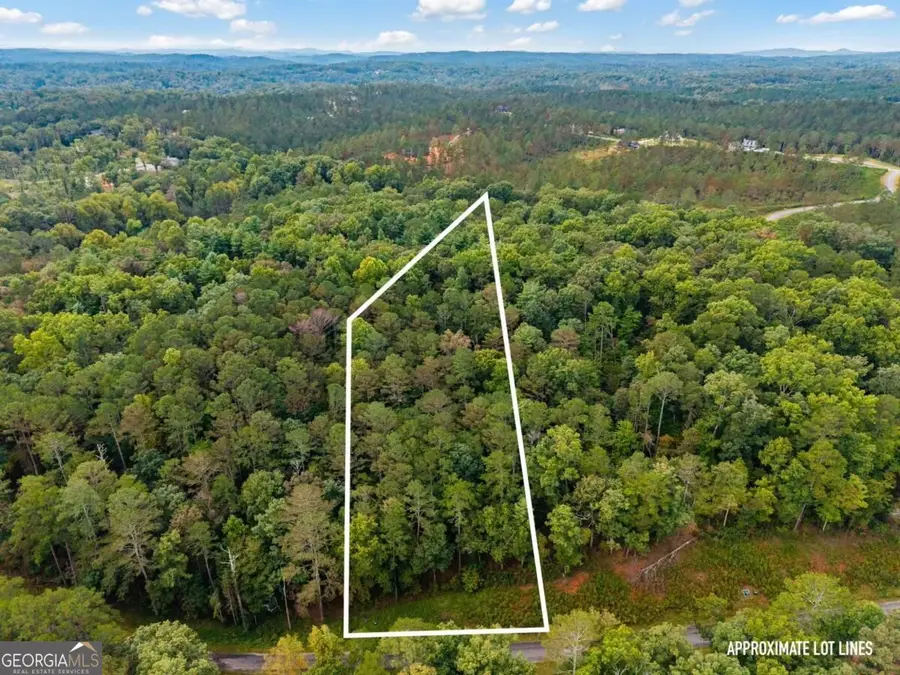 LOT 195R Pinnacle Drive, Ellijay, GA 30540 - #3