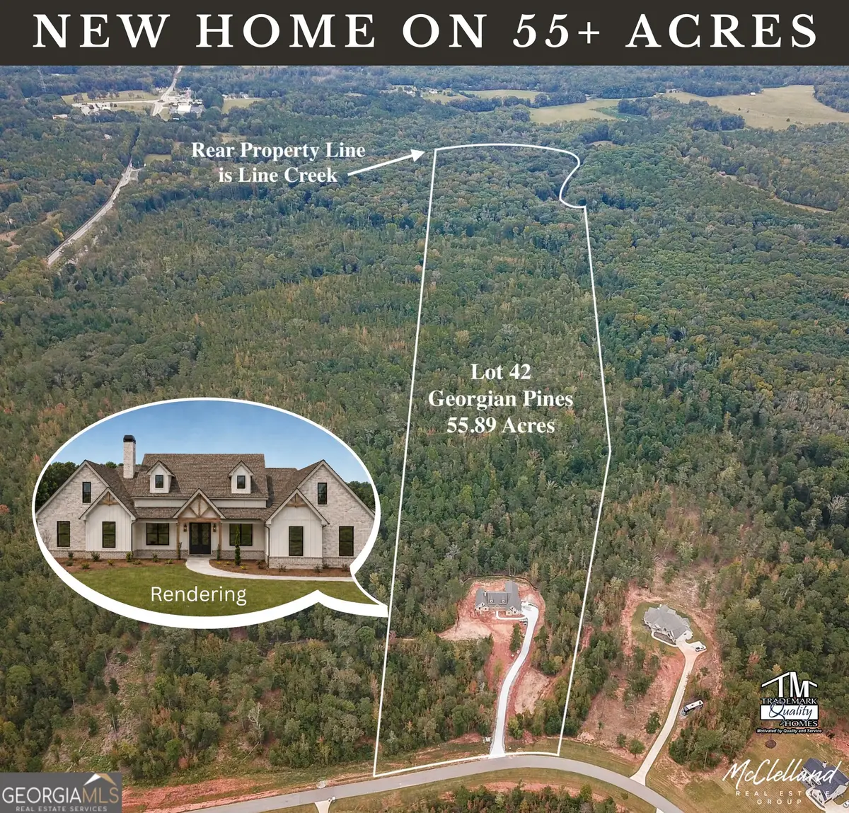 LOT #42 Starlight Dr., Senoia, GA 30276 - #1
