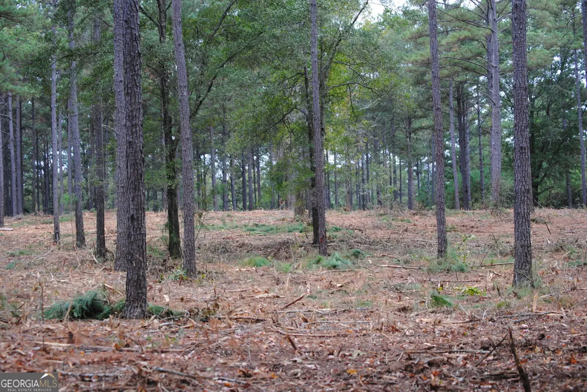137 W Drummond #6, West Point, GA 31833 - #1