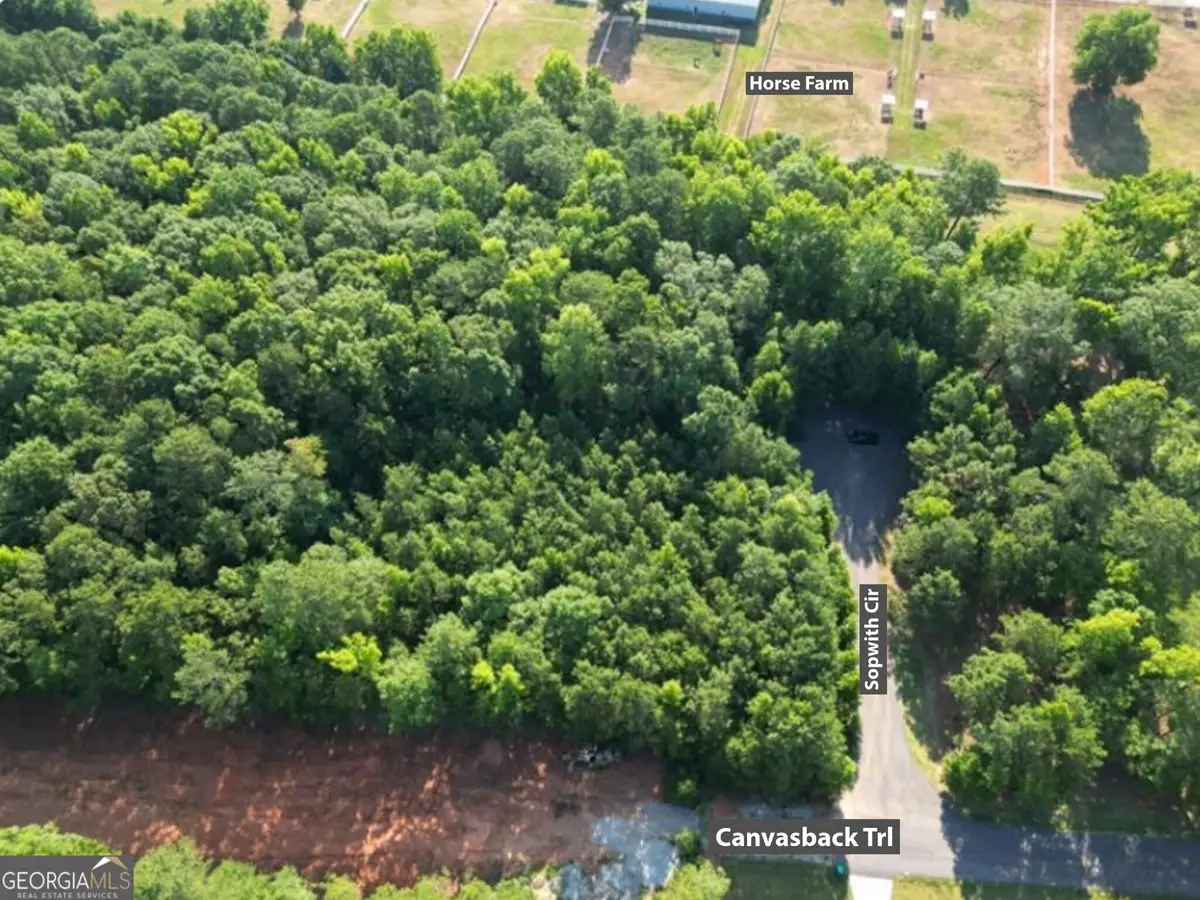 369 Canvasback Trail #147, Locust Grove, GA 30248 - #1