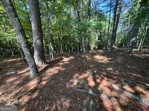 LOT 1 Laurelwood Circle, Murphy, NC 28906 - #2