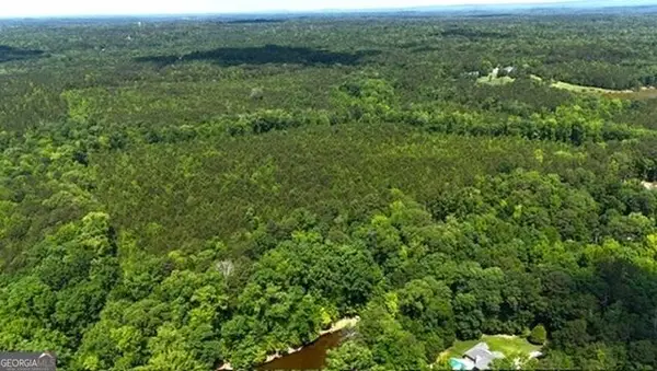 0 Maria Lane, Ellerslie, GA 31807