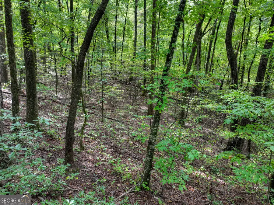 0 Mountainside Parkway, Ellijay, GA 30536 - #2