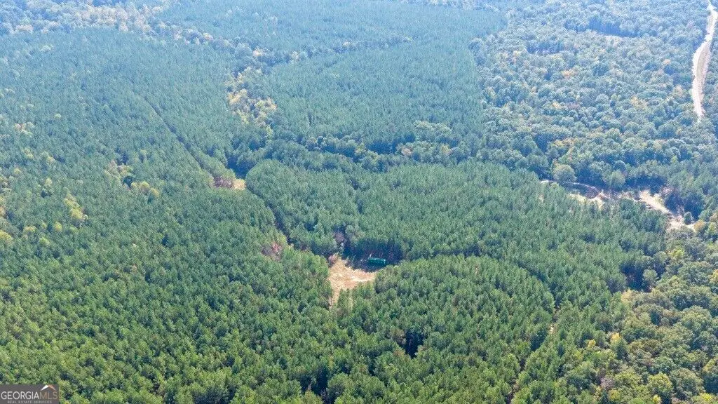0 Hwy 220 & Salem Church Road, Lincolnton, GA 30817 - #1