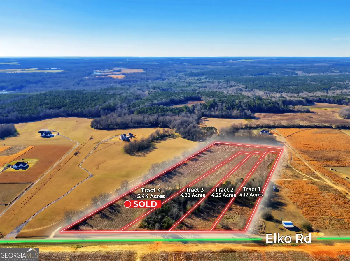 TRACT 2 Elko Road, Elko, GA 31025 - #1