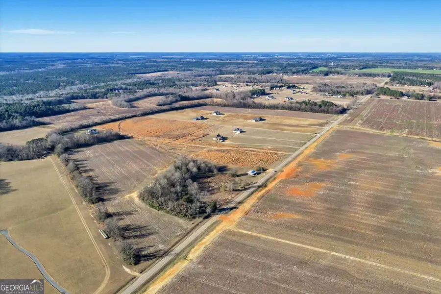 TRACT 2 Elko Road, Elko, GA 31025 - #3