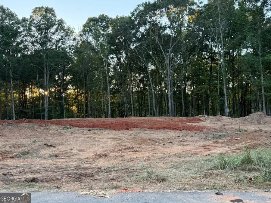 37 Springtime Way, Monroe, GA 30655 - #2