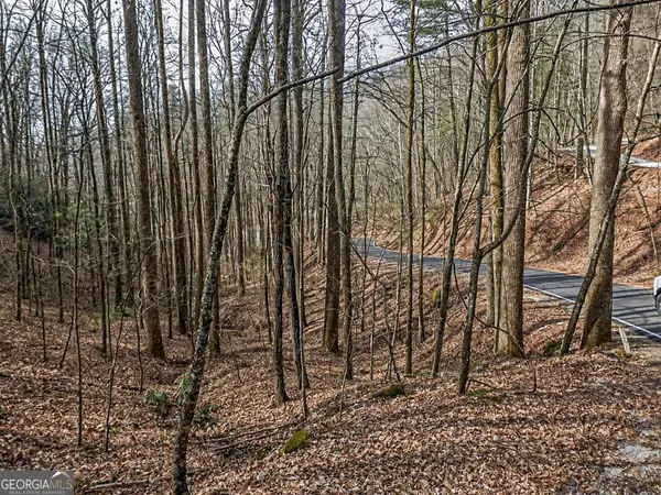 LOT 296 & 297 Evergreen Lane, Sky Valley, GA 30537