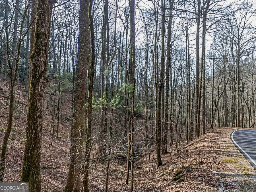 LOT 296 & 297 Evergreen Lane, Sky Valley, GA 30537 - #2