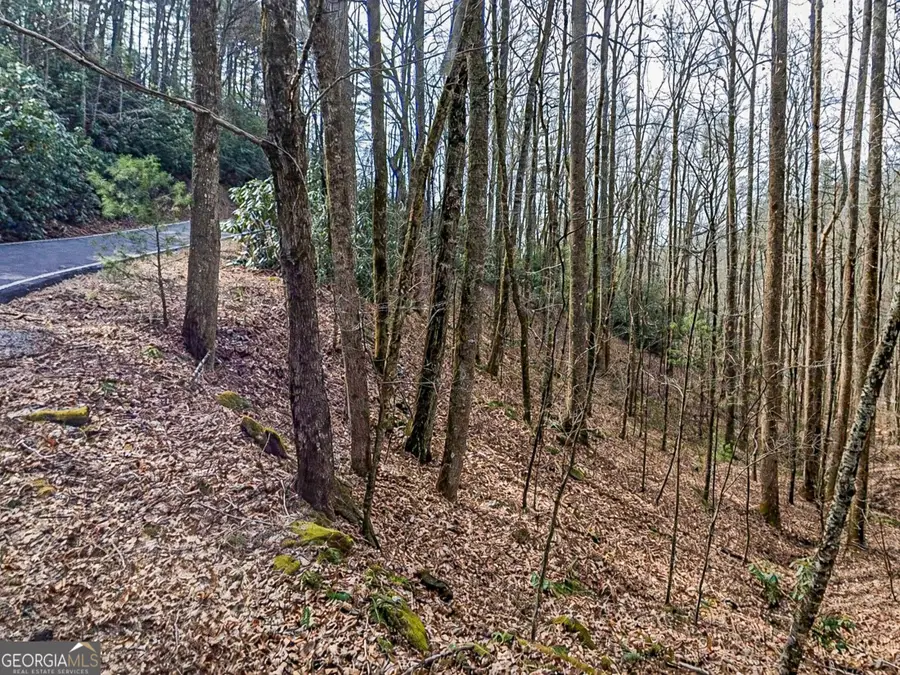 LOT 296 & 297 Evergreen Lane, Sky Valley, GA 30537 - #3