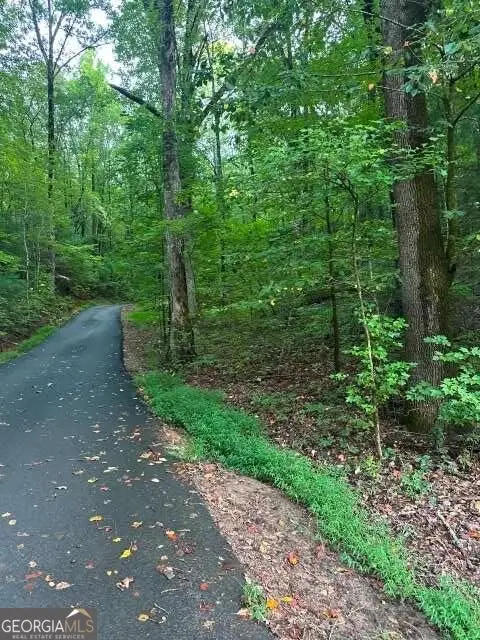 LOTS 3&4 Amicalola Woods Road, Dawsonville, GA 30534 - #3