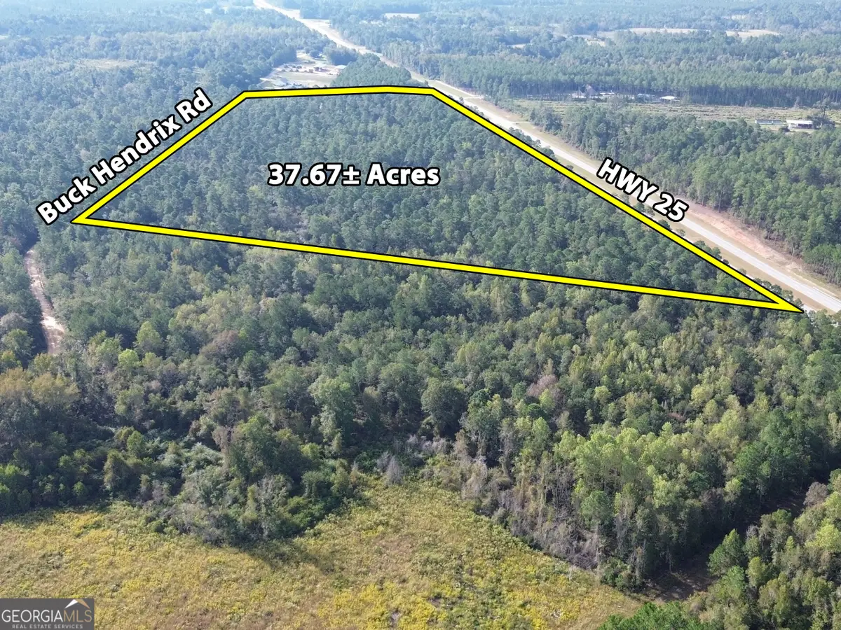 1 Highway 25, Portal, GA 30450 - #1